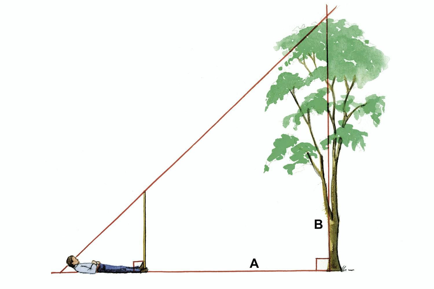 Mittaaminen Mittaaminen